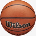 Wilson Evolution WTB0516XBEMEA R.7 sisekorvpall suurus 7 oranž