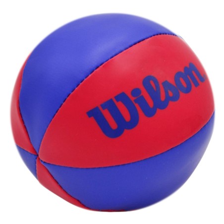 Korvpallilaud NBA Wilson 29x24 cm + pall WTBA1302NBARD