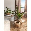 Korvikomplekt (3 tk) Aylin Cream/Beige ø 110 cm ümmargune