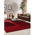 Villane vaip Jamal Red 200x300 cm
