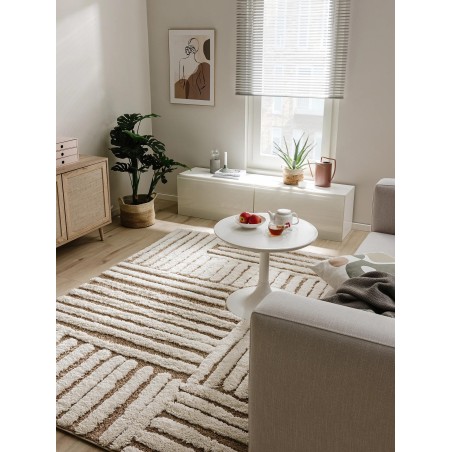Shaggy Rug Tibo Cream/Beež 200x290 cm
