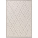 In- & Outdoor vaip Flora Cream 200x300 cm