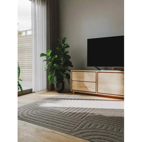 Vaip Leo Helehall 200x290 cm