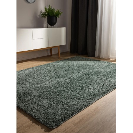 Pestav Shaggy vaip Soho Heleroheline 160x230 cm