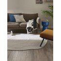 Pestav vaip Pam Grey 80x110 cm