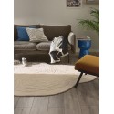 Pestav vaip Pam Beige 200x270 cm