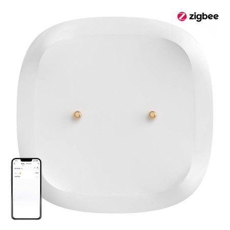 Nutikas veelekke/üleujutusandur ZigBee SONOFF SNZB-05P (+aku)