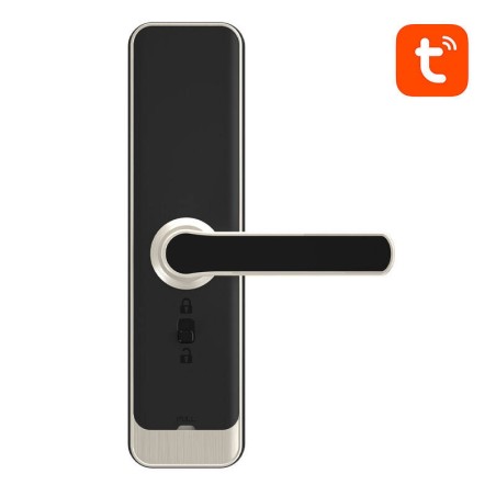 Avatto Smart Digital Lock ZSDL-A270-S-ALI-6072 ZigBee hõbe