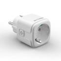 Nutikas pesa Blitzwolf BW-SHP15, ZigBee, 3680W