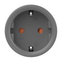 Sonoff S60ZBTPF ZigBee nutikas pistikupesa