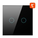 Smart Light Switch WiFi Avatto TS02-EU-B2 2 way (must)