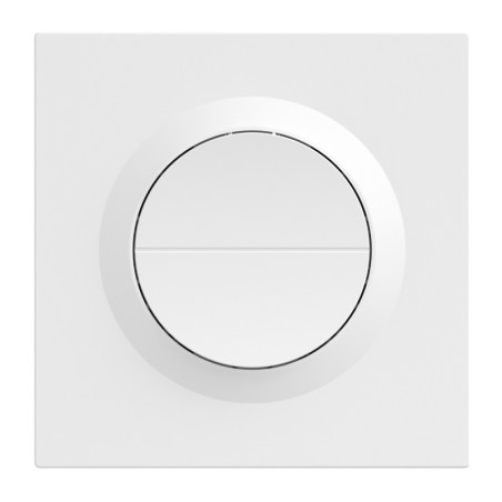 SONOFF MINI-ZB2GS-E ZigBee kahe kanaliga seinalüliti.