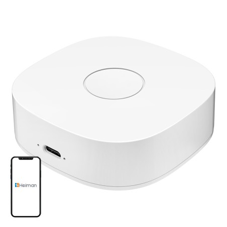 Nutikas kodu WS2GW-R WiFi