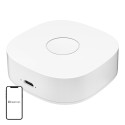 Nutikas kodu WS2GW-R WiFi