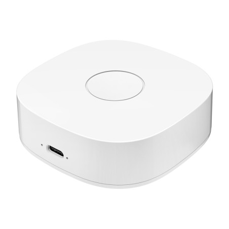 Nutikas kodu WS2GW-R WiFi