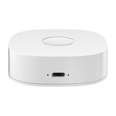 Nutikas kodu WS2GW-R WiFi