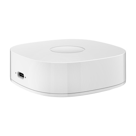 Nutikas kodu WS2GW-R WiFi
