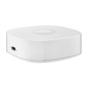 Nutikas kodu WS2GW-R WiFi