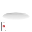 Yeelight Arwen laevalgusti 450C