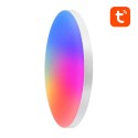 Nutikas laelamp 32cm WiFi/Bluetooth 16M RGBCW Gosund LB11 1920lm Tuya + Kaugjuhtimispult.