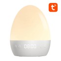 WiFi RGBW 16M Gosund LB2S Tuya nutikas öölamp