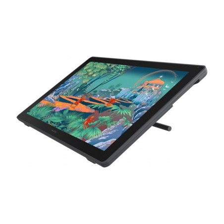 Huion Kamvas 24 GS2401 graafika tahvelarvuti