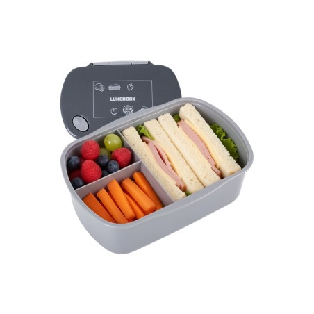 Lõunasöögi karp 800 ml, hall | FreshDesign.ee