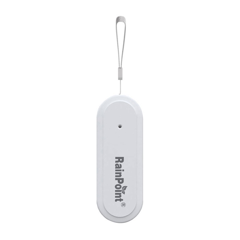Rainpoint Smart+ Smart termohügromeeter