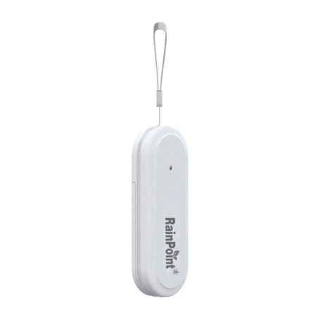 Rainpoint Smart+ Smart termohügromeeter