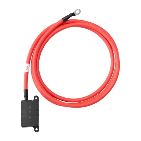 EcoFlow generaatori laadija pikenduskaabel (2 m)