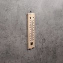 Termomeeter 22 cm
