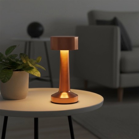 Vasest laualamp 21 LED 21 cm