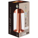Vasest laualamp 21 LED 21 cm