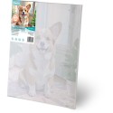 Maalimine numbrite järgi 40x50 cm Corgi koer