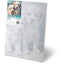 Maalimine numbrite järgi 40x50 cm Kutsikad