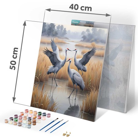 Maal numbrite järgi 40x50 cm Cranes