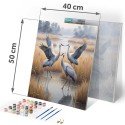 Maal numbrite järgi 40x50 cm Cranes