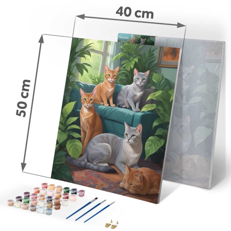 Maalimine numbrite järgi 40x50 cm Cats