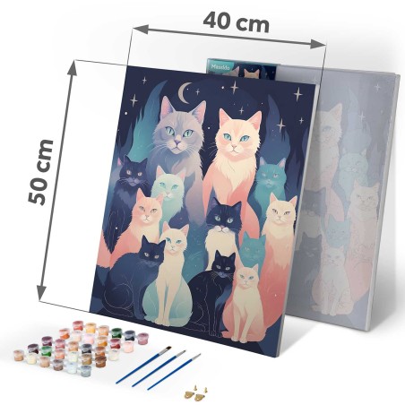 Maalimine numbrite järgi 40x50 cm Cats