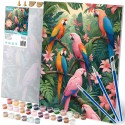 Maal numbrite järgi 40x50 cm Parrots