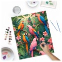 Maal numbrite järgi 40x50 cm Parrots