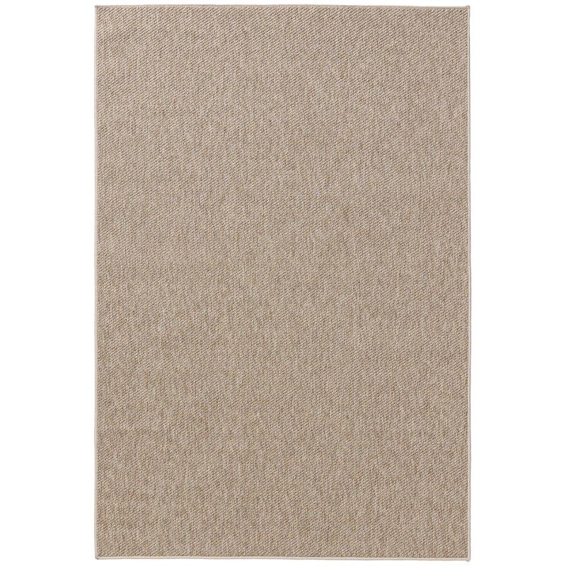 Sise- ja välivaip Iowa Taupe 300x400 cm