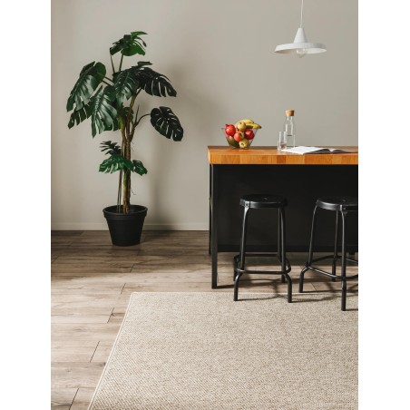 Sise- ja välisvaip Iowa Taupe 80x150 cm