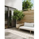 Sise- ja välivaip Kaleo kreem/beež 80x300 cm