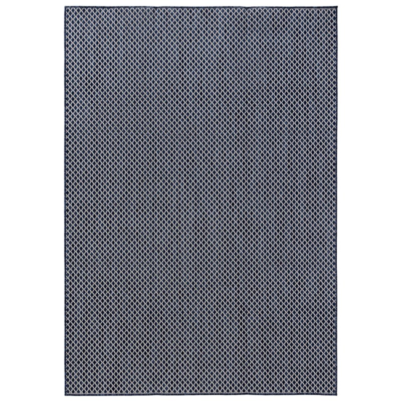 Sise- ja välivaip Lou Blue 200x300 cm