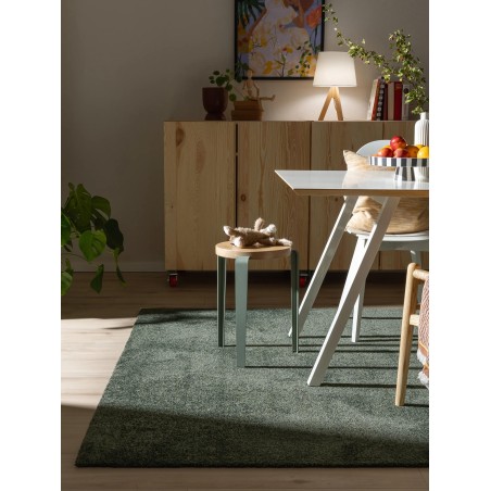 Pestav vaip Nina Green 140x200 cm