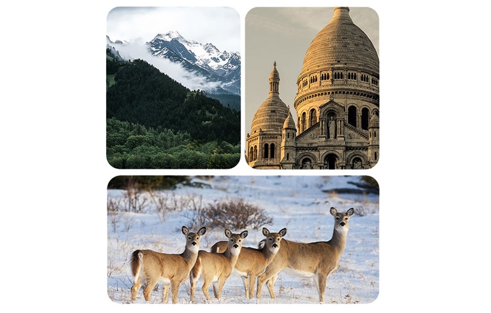 Mountains, historic building, and animals in a winter clearing