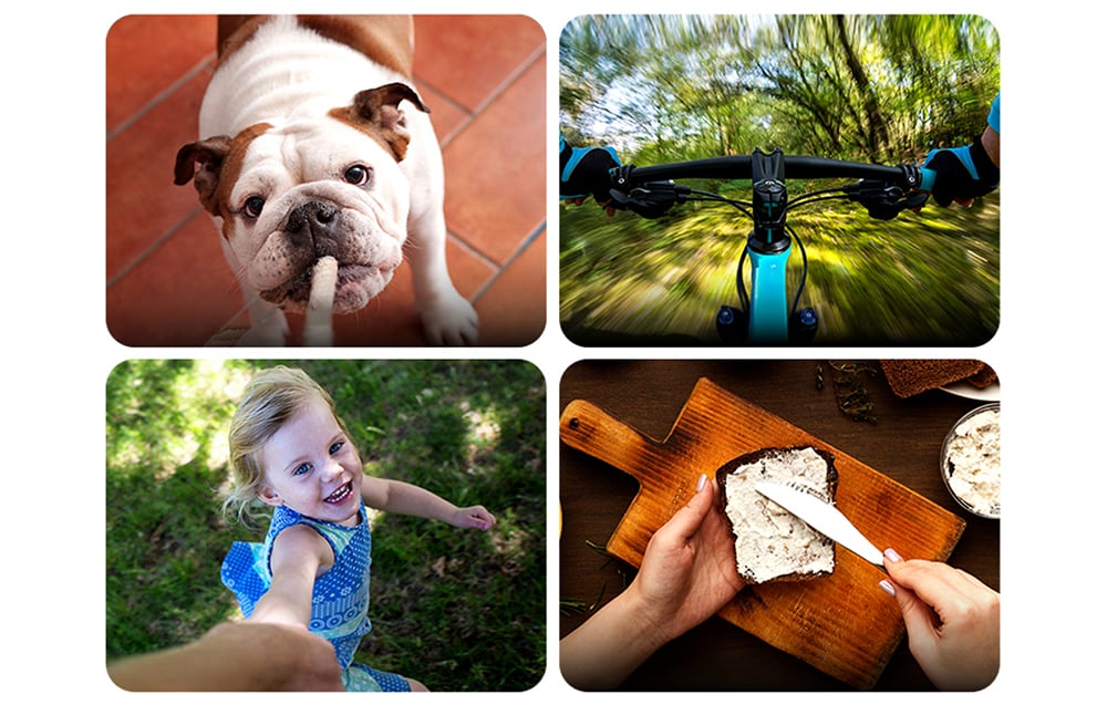 A collage of four first-person perspective photos: a dog, a person riding a bike, a child, and someone spreading butter on bread
