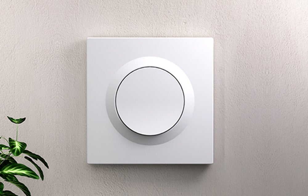 White switch on beige wall. A green plant is visible next to it.