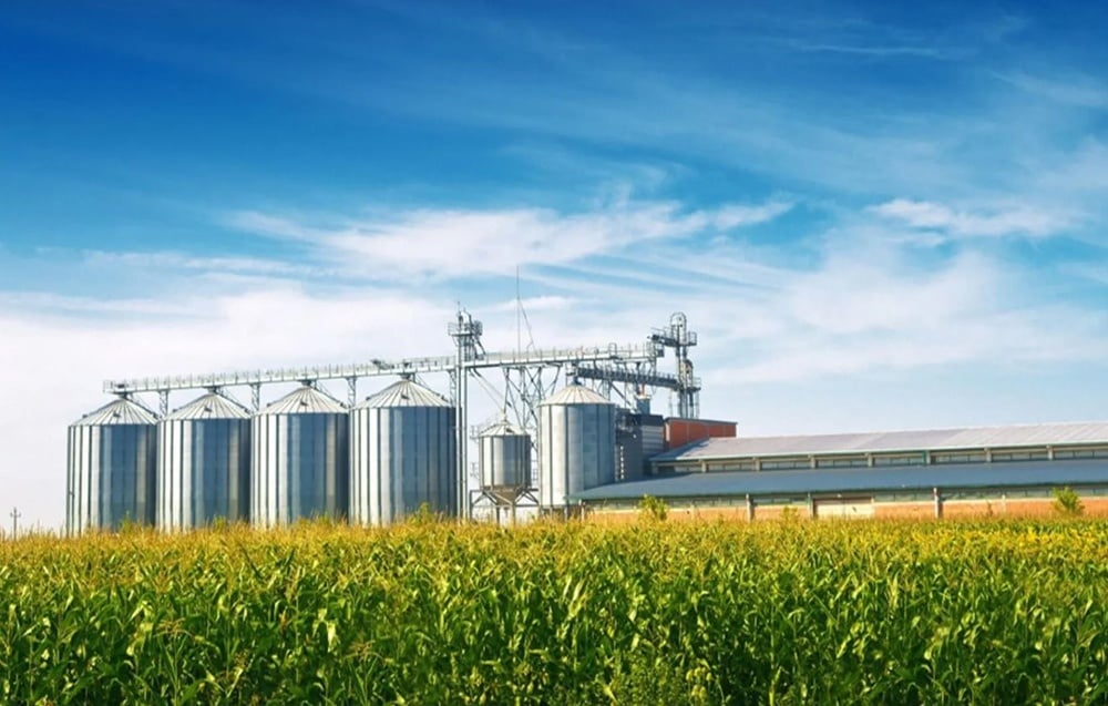 A complex of metal agricultural silos standing behind a green cornfield
